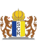 Stripfing logo