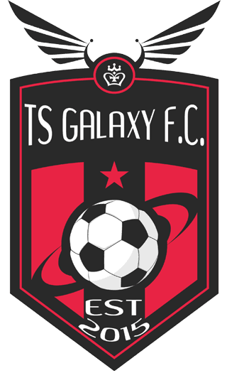 TS Galaxy logo