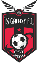 TS Galaxy logo