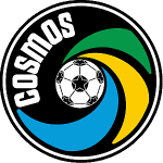 NY Cosmos logo
