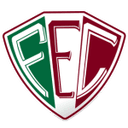Fluminense PI logo