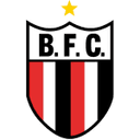 Botafogo SP logo