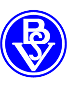 Bremer SV logo
