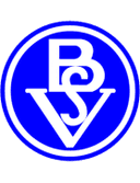 Bremer SV logo
