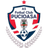 Pucioasa logo