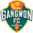 Gangwon logo